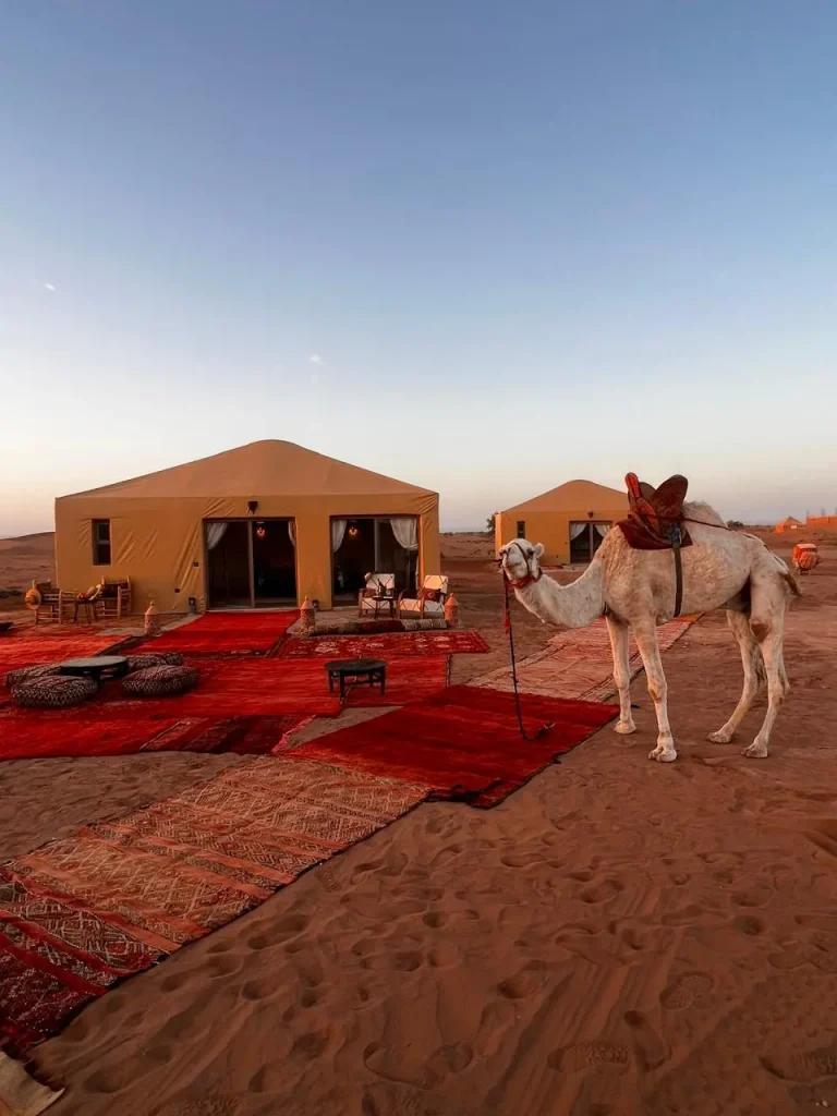 Bivouac traditionnel dans le désert du Sahara avec une tente sous un ciel étoilé."