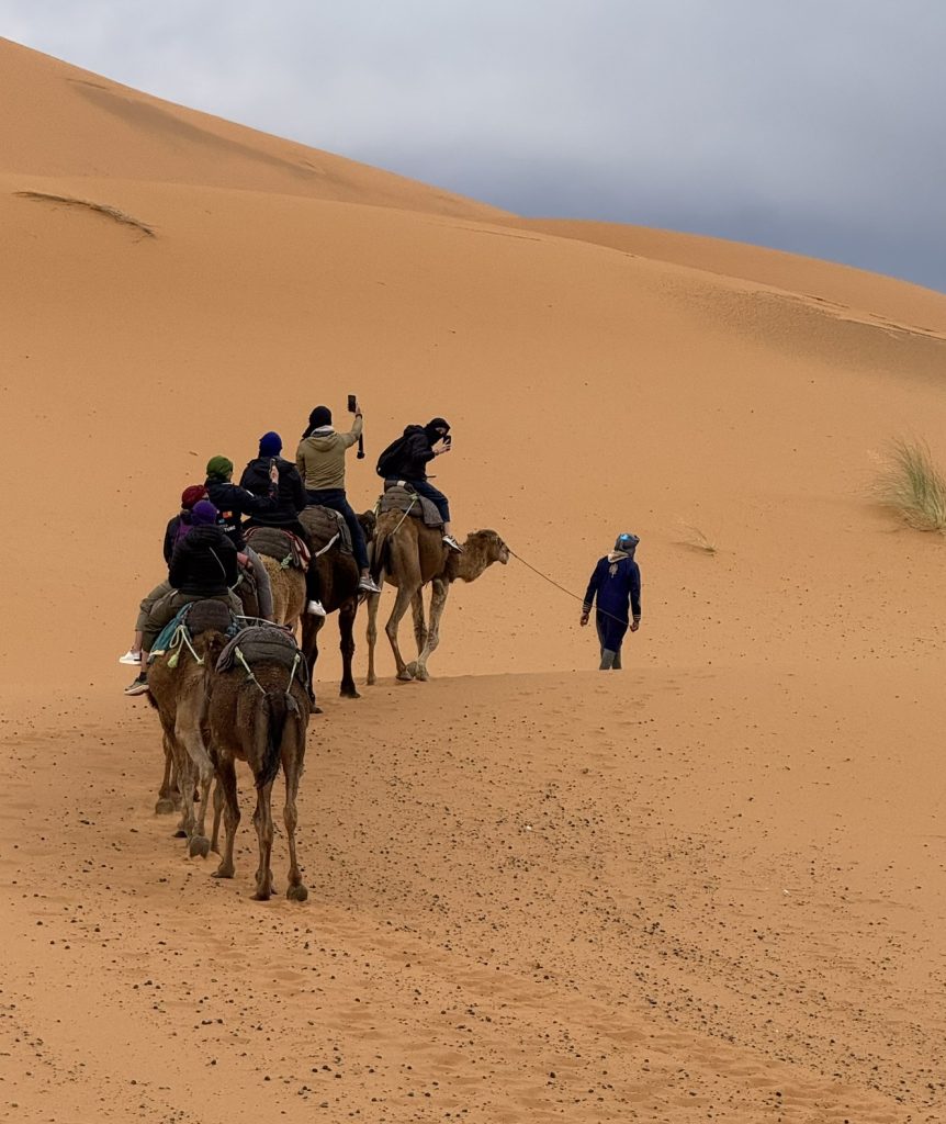 Caravane de chameaux traversant les dunes du Sahara, trek désertique à M'Hamid