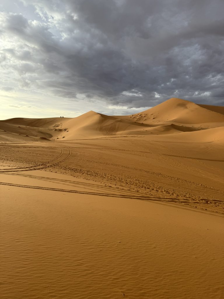 Dunes de sable à perte de vue dans le désert de M’Hamid, au sud du Maroc