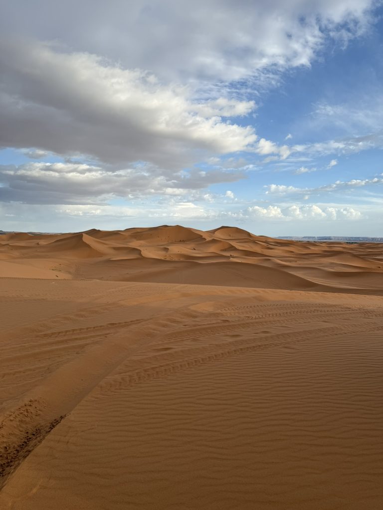 Dunes de sable à perte de vue dans le désert de M’Hamid, au sud du Maroc
