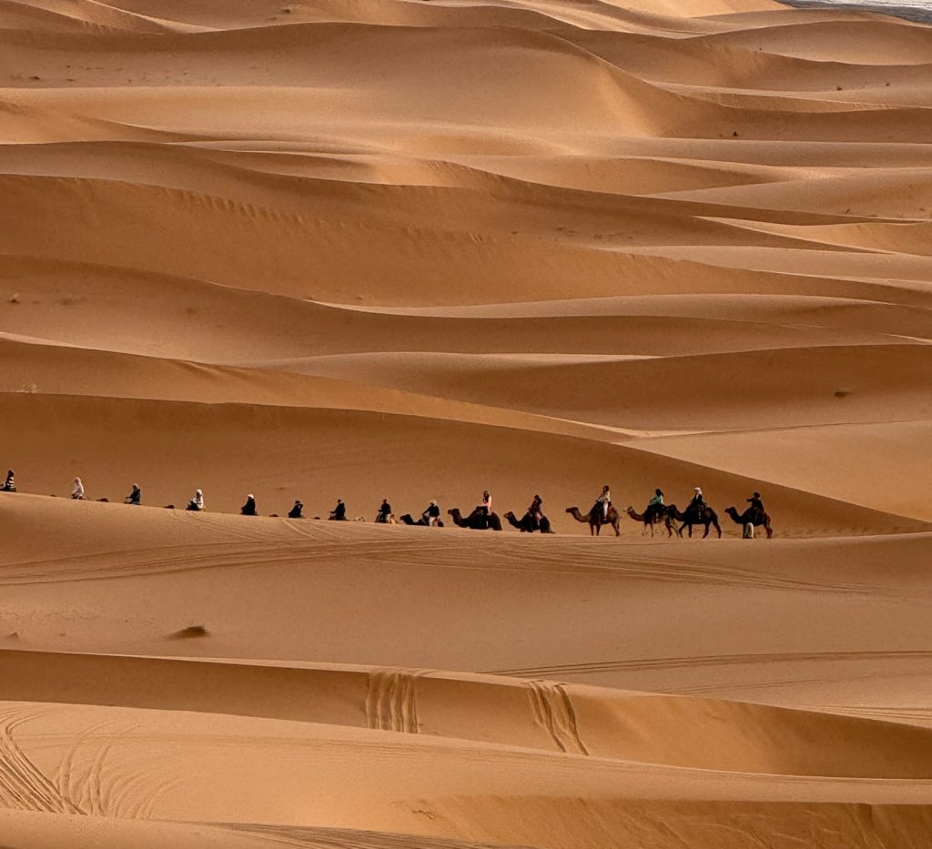 Groupe de trekkeurs à dos de chameaux dans le désert de M’Hamid en direction des dunes