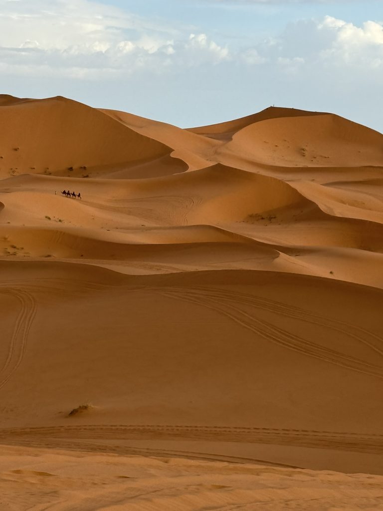 Vastes dunes de sable à perte de vue dans le désert de M’Hamid au coucher de soleil.