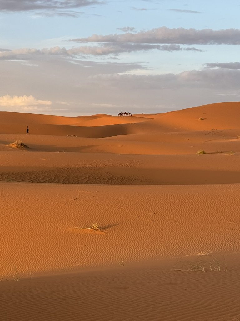 Vastes dunes de sable à perte de vue dans le désert de M’Hamid au coucher de soleil.