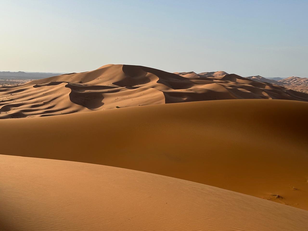 0730b9b1-15c6-45d2-b348-daa0142ba735