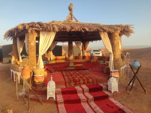 26a03e42-f6d9-4d99-aa93-de2f1de72a0a