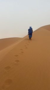 7bed0d7b-b30a-4af1-a330-5bbcb0829381