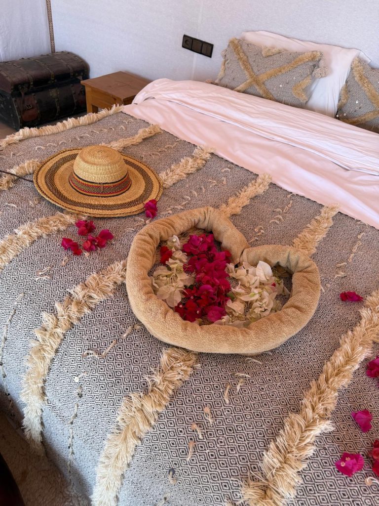 817d7ebb-7c4a-41b9-bf91-b14d9d336e34