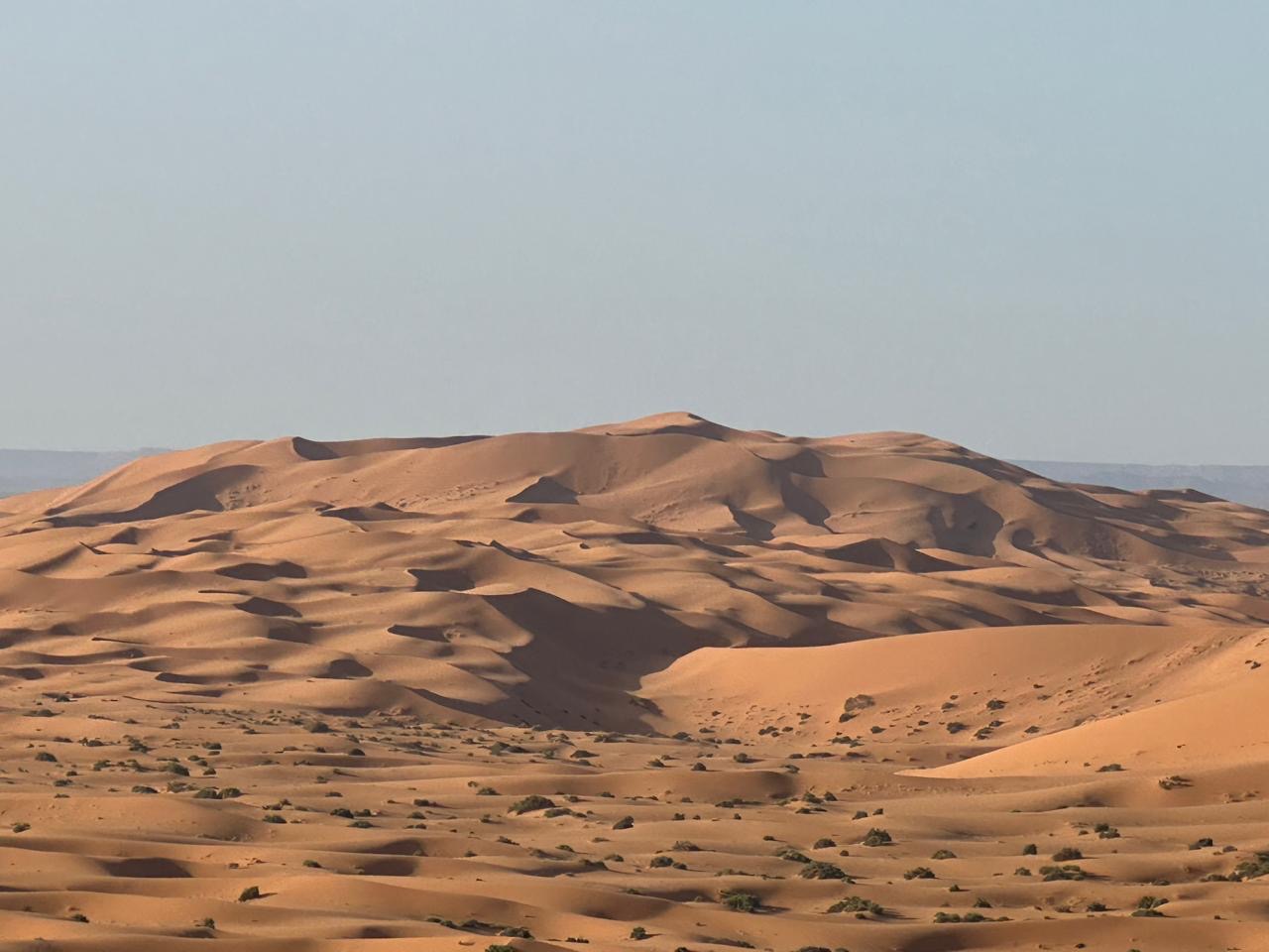 85ef369f-8ba7-4b08-8dcf-d96d63ef933e