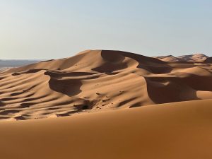 91eb9e9e-c397-44c0-8580-4e60427d7122