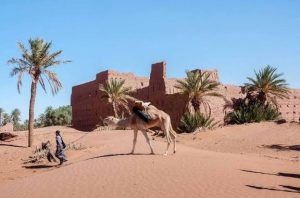 Voyage au départ de M'Hamid : exploration du Sahara à travers des dunes et oasis secrètes