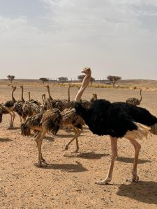 b63f8df2-bf7f-4b25-8854-dc7cec9aeff9