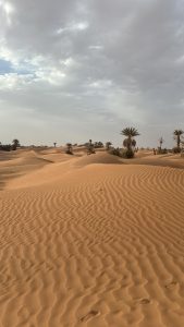 e62b2bd5-76d0-426f-bb53-12d4aa7ff642